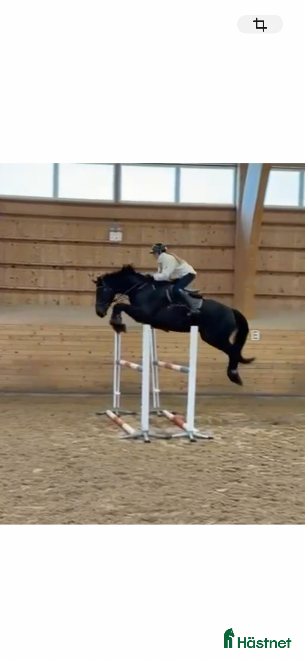  hästar Lovande 5-årig hoppvalack med toppstam - Annons 1