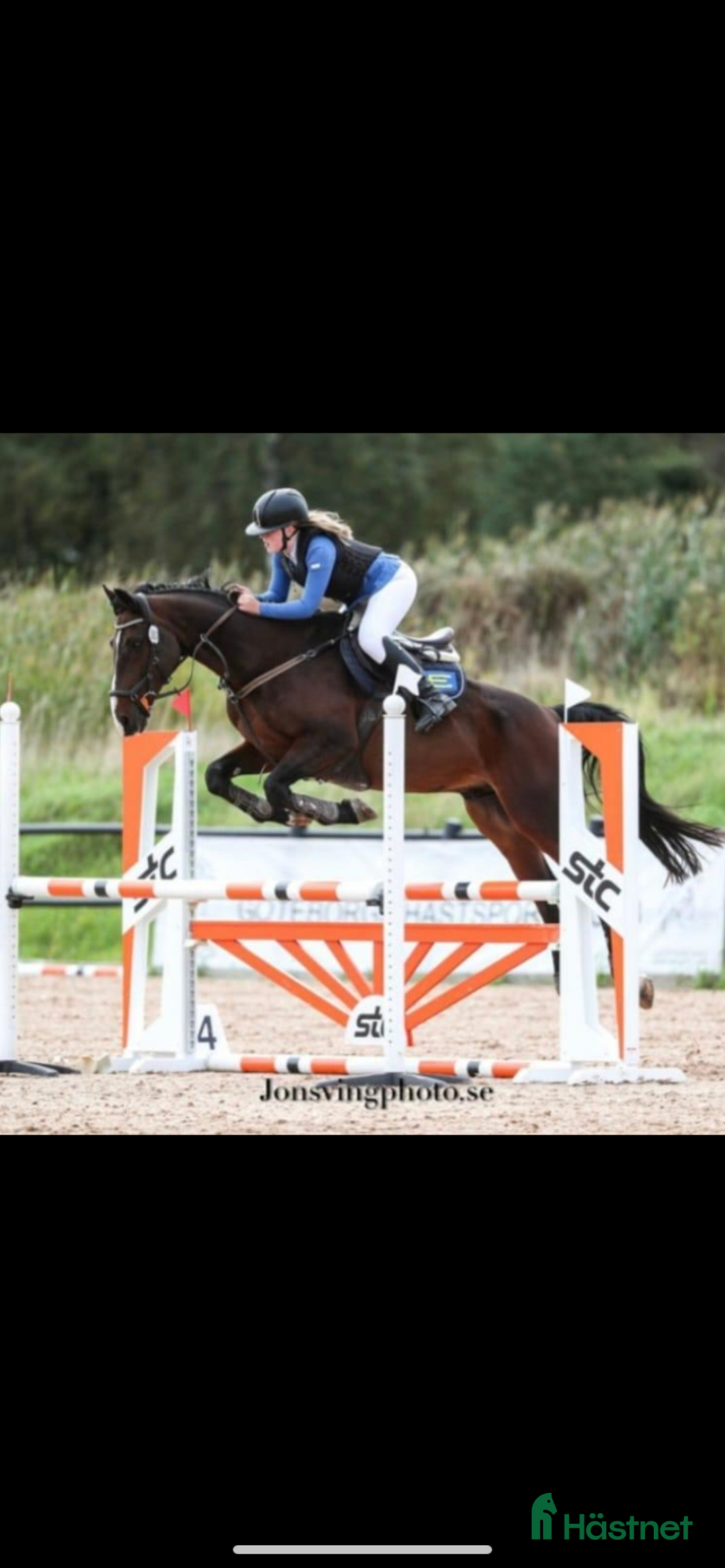  hästjobb finnes: Tillridning  i Munkedal - Annons 1