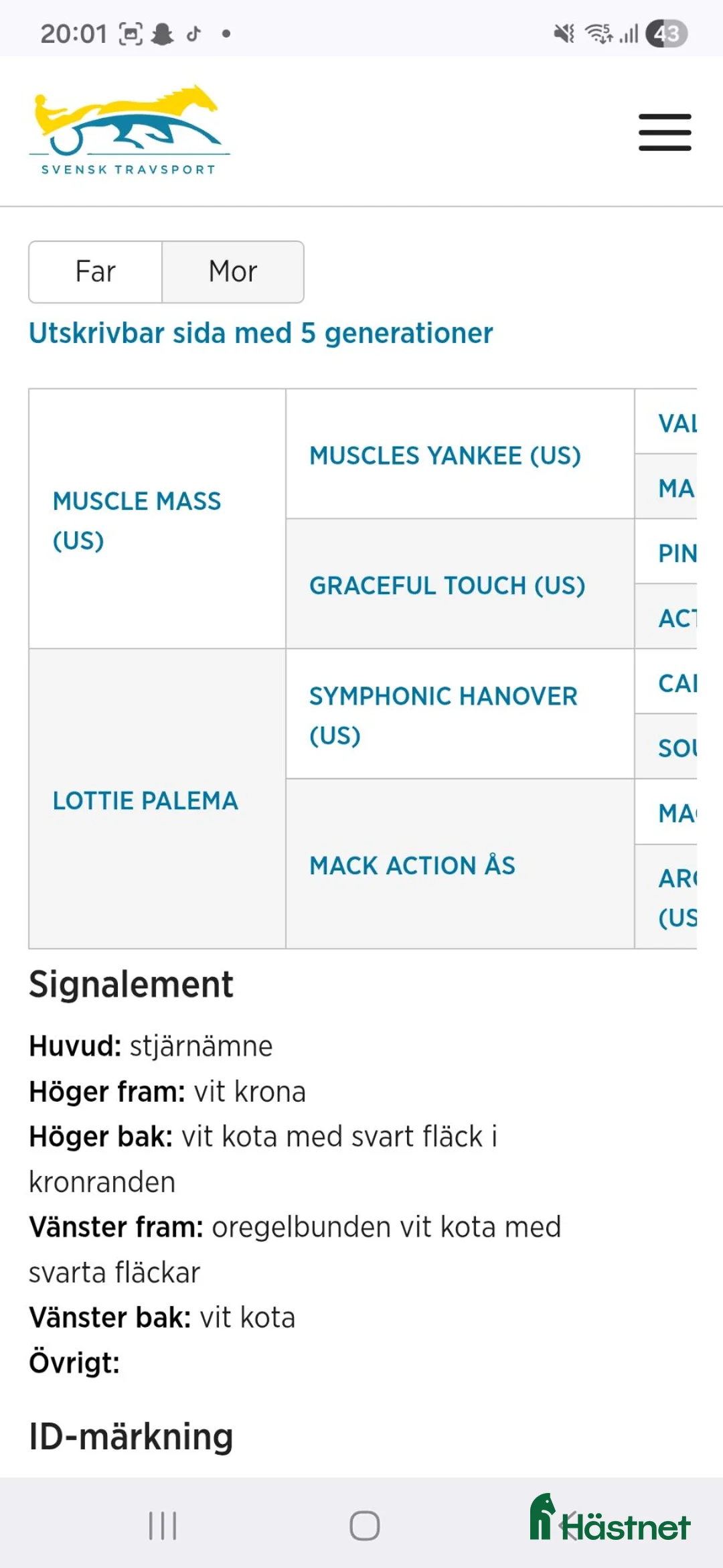 Avelshästar hästar till salu: Carro Palema till Avel/trav ⭐️ i Hok - Annons 2