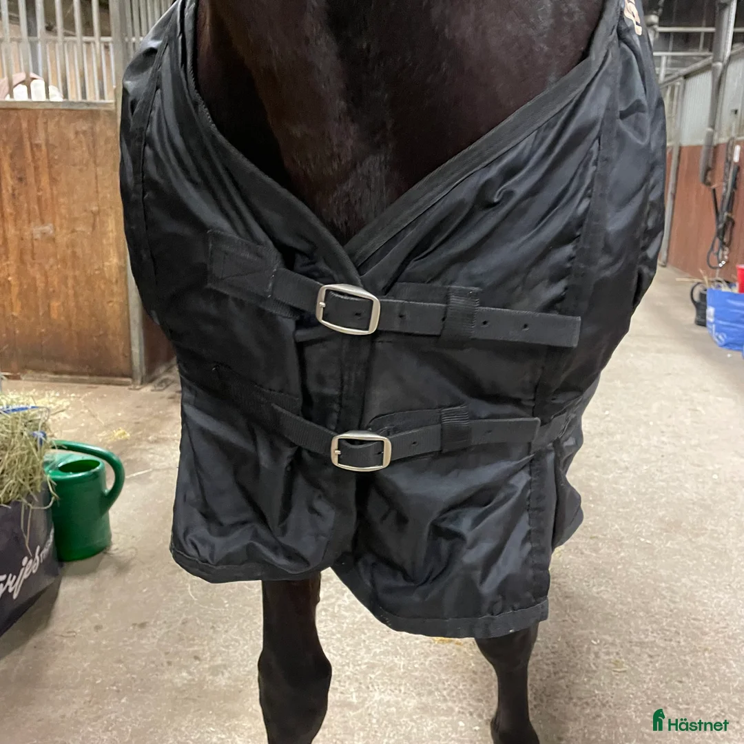 Täcken hästutrustning till salu: Nättäcke från Back On Track i Gamleby - Annons 3