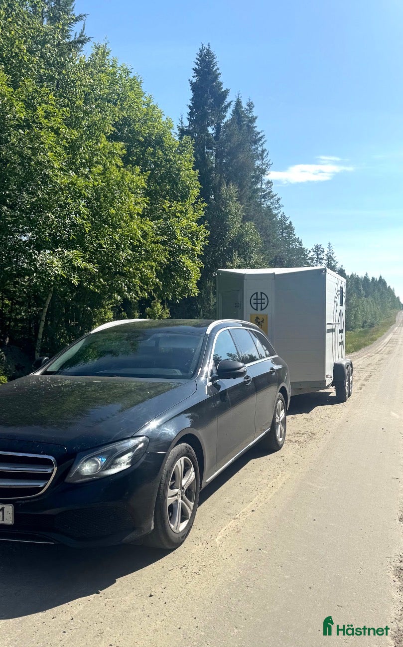 Hästtransporter  fordon & transport till salu: Hrimnir2 diagonallastad  - Annons 5