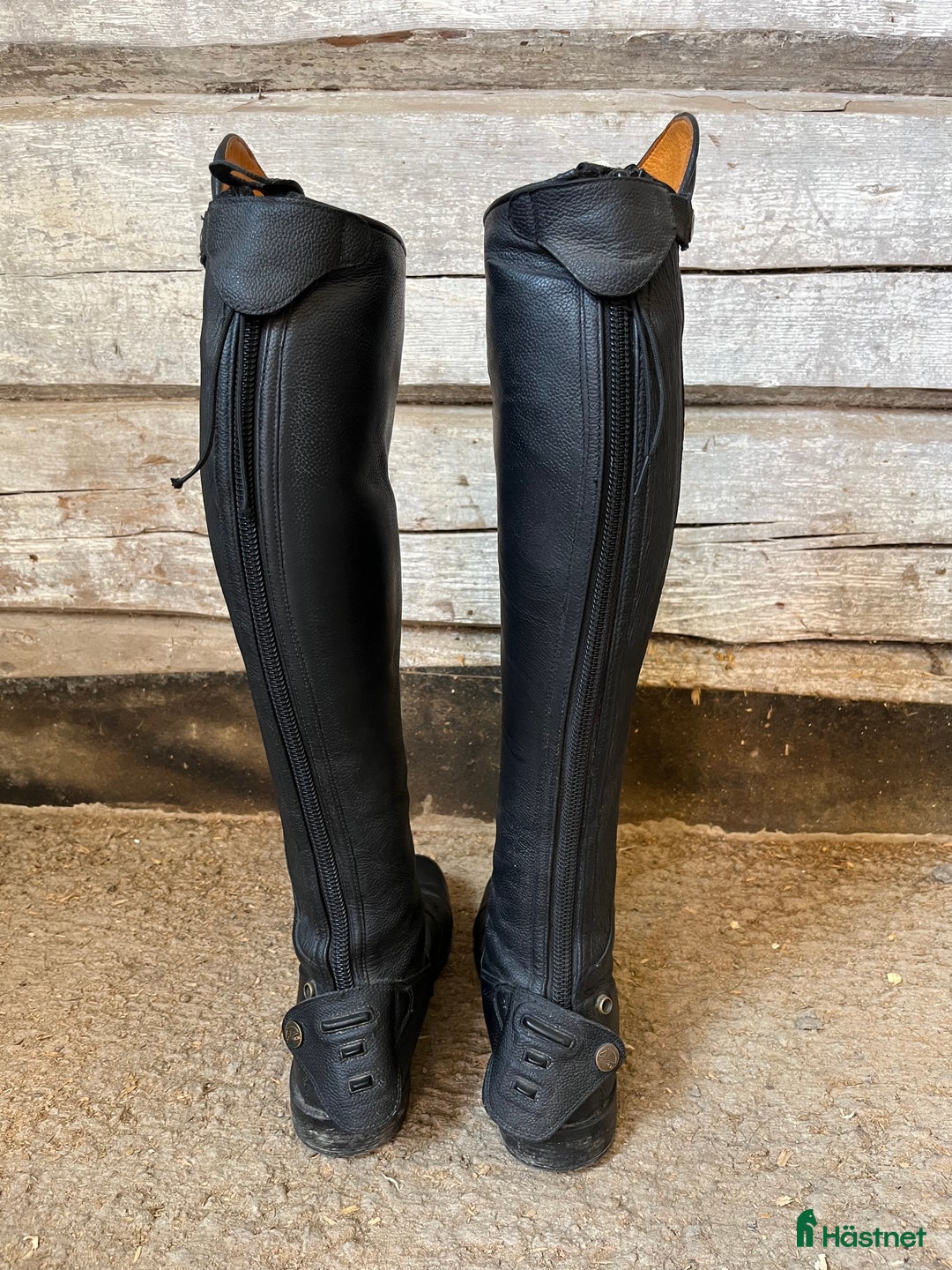 Ridstövlar ryttarutrustning till salu: Ridstövlar i fint skick! i Krylbo - Annons 3