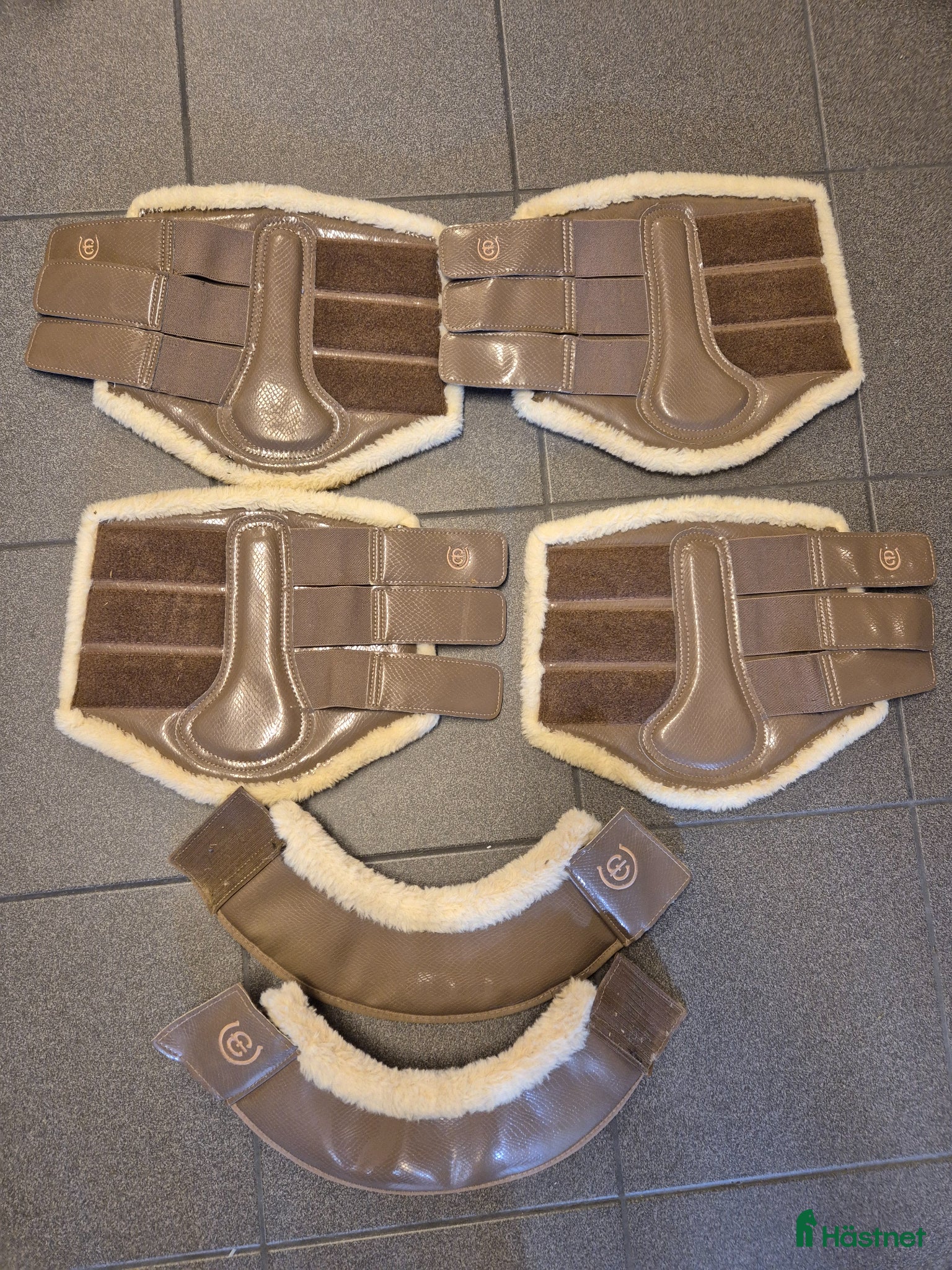 Benskydd hästutrustning Benskydd m ludd Full - Annons 1