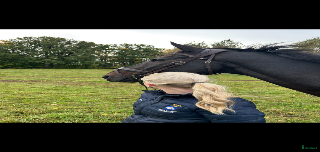 Galleribild {{count}}