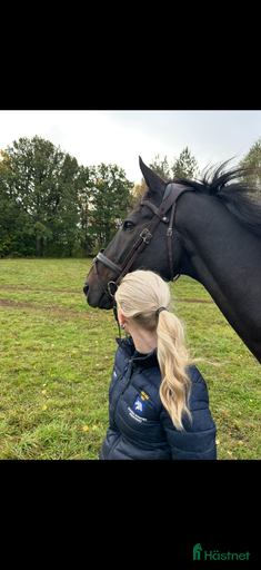 Galleribild {{count}}