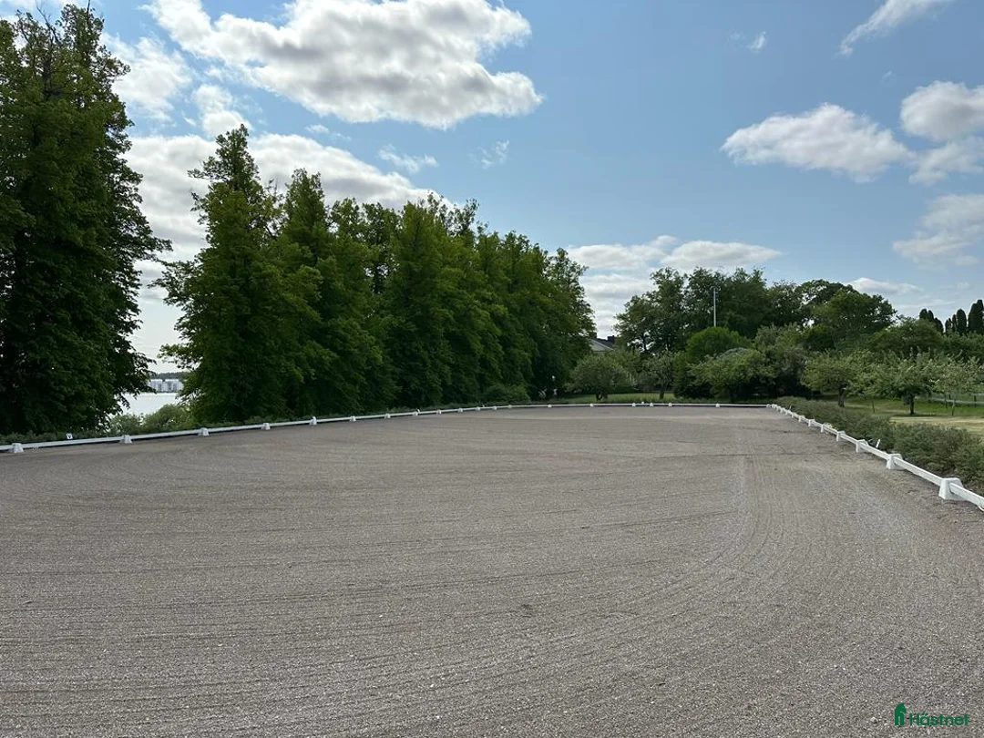  stallplats finnes: Ledig boxplats på Almare Stäket i Kungsängen - Annons 5