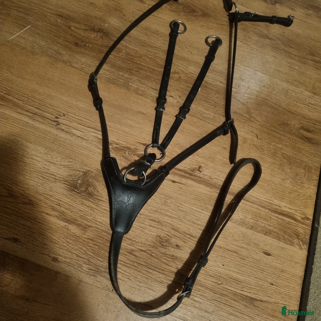 Övrig Hästutrustning hästutrustning till salu: Utrustning sadel och träns m.m. - Annons 1