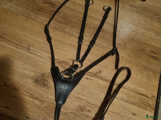 Övrig Hästutrustning hästutrustning till salu: Utrustning sadel och träns m.m. - Annons 1