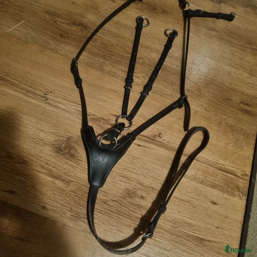 Övrig Hästutrustning hästutrustning till salu: Utrustning sadel och träns m.m. - Annons 2