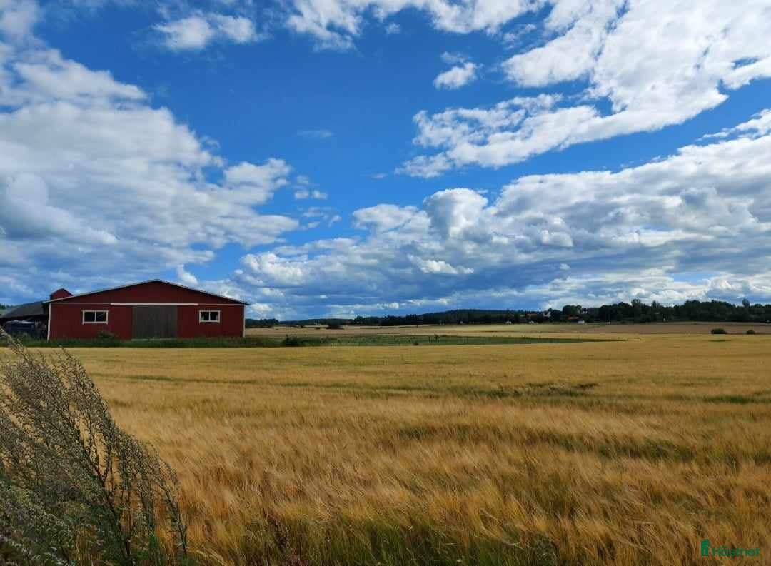  stallplats finnes: Lediga stallplatser Hollstad i Norrköping - Annons 12