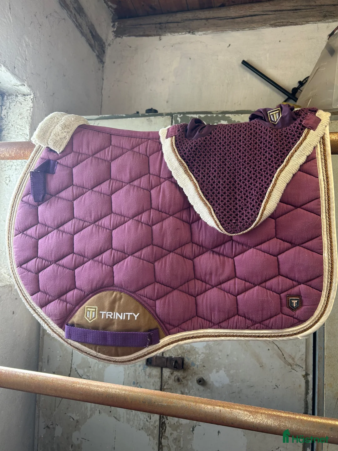 Schabrak & Vojlockar hästutrustning till salu: Lila cob trinity schabrak och huva  - Annons 1