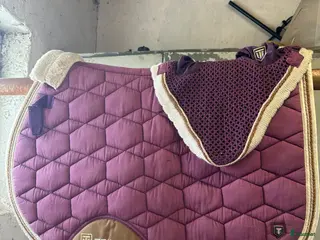 Schabrak & Vojlockar hästutrustning Lila cob trinity schabrak och huva - Annons 15