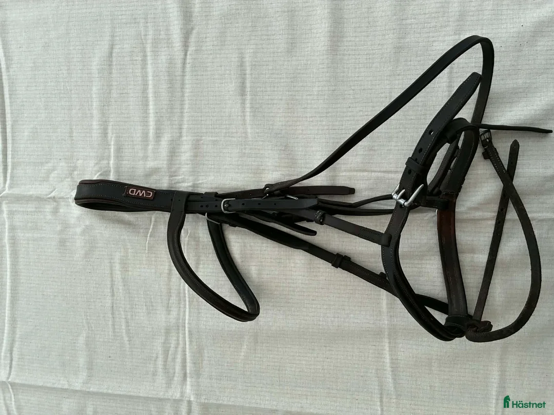 Träns hästutrustning till salu: CWD träns i brunt läder stl full  - Annons 1