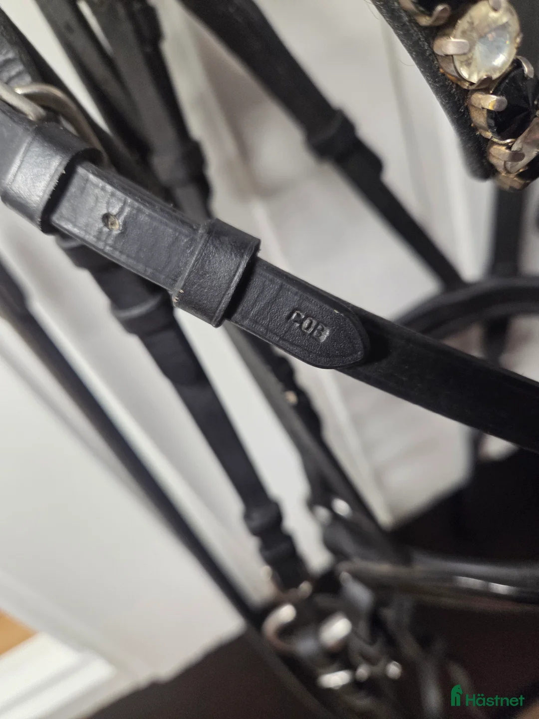 Träns hästutrustning till salu: Träns - Annons 2