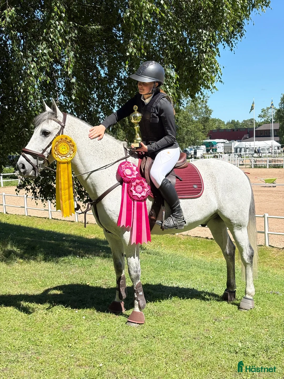 Hoppning hästar till salu: Maxad D-ponny  - Annons 1