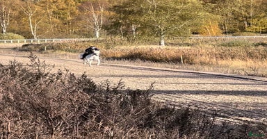  stallplats i Stockholm - Annons 7