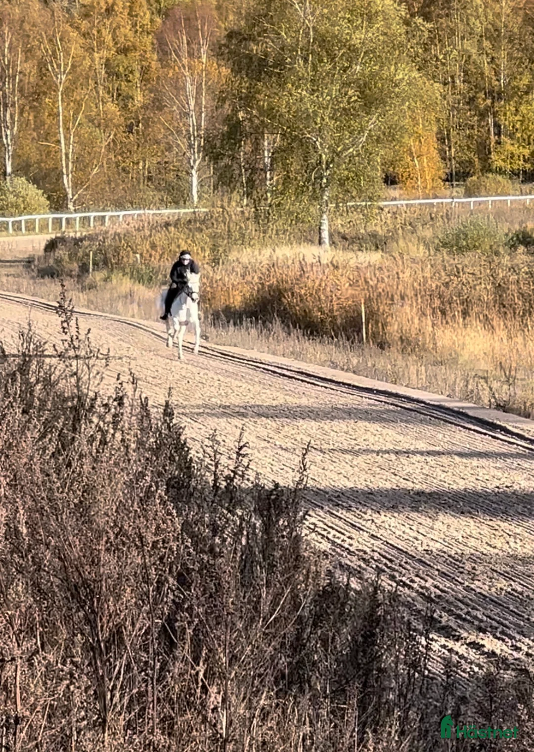  stallplats finnes: Träningsanläggning 20 min från centrala Stockholm i Stockholm - Annons 3