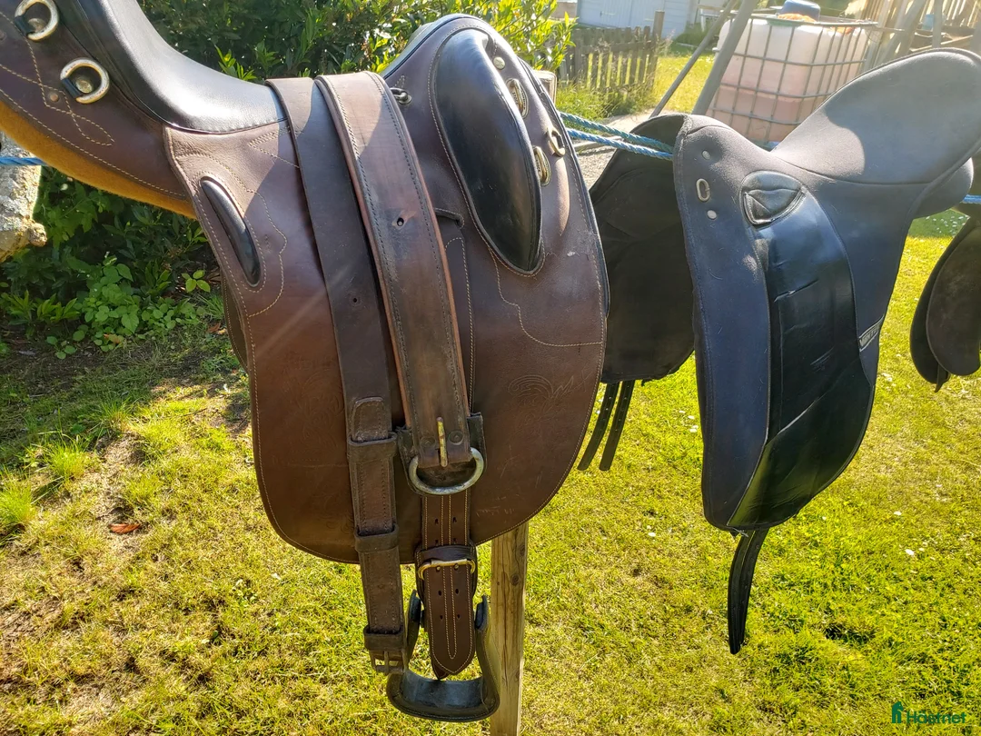 Sadlar hästutrustning till salu: hästutrustning i Visingsö - Annons 6