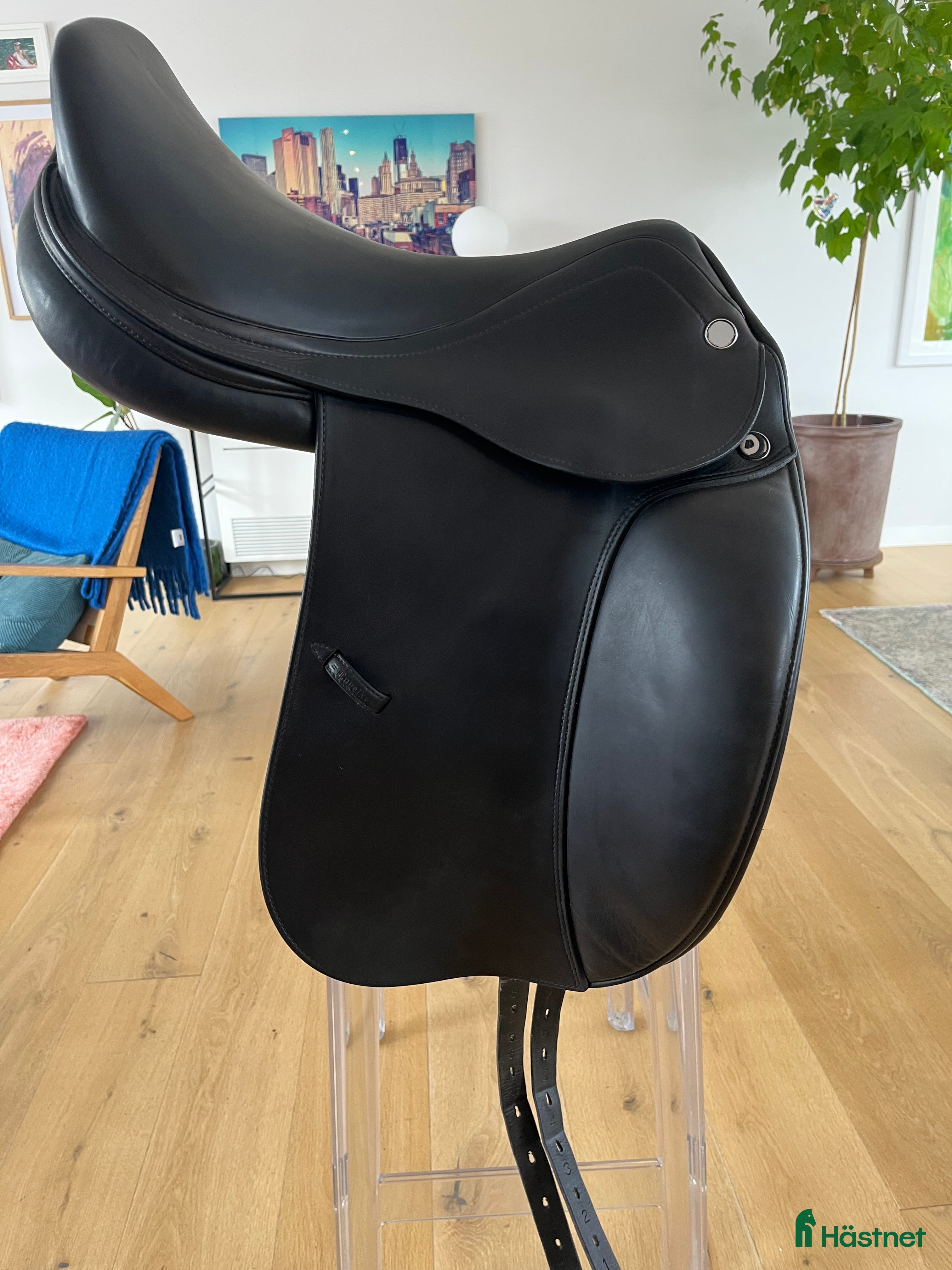Sadlar hästutrustning Prestige Icelandic Dressyr  - Annons 1