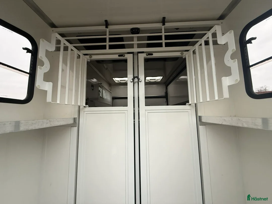 Hästlastbilar  fordon & transport till salu: PARAGAN EXCELSION 5XL STUTERI  i Köping - Annons 12