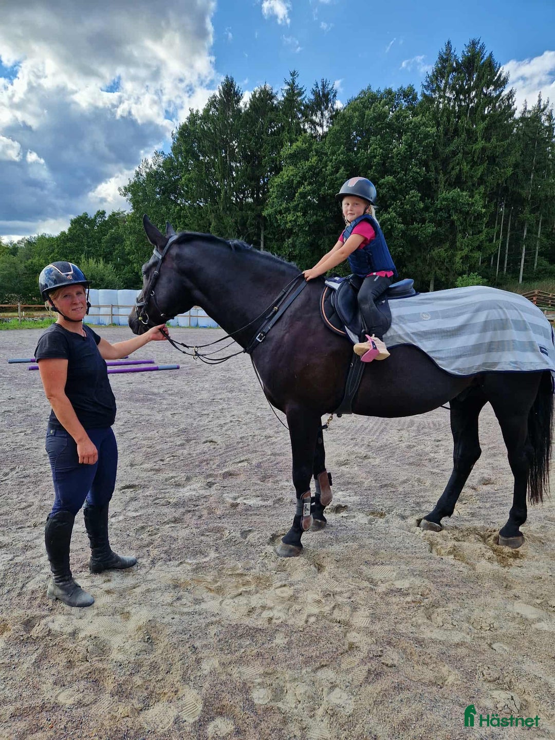 Hoppning hästar till salu: Projekt  i Knislinge - Annons 1