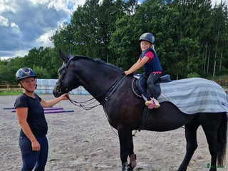 Hoppning hästar till salu: Projekt i Knislinge - Annons 1