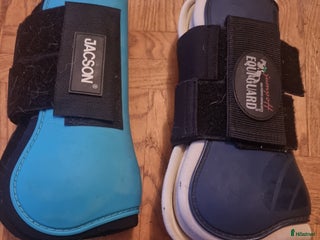 Benskydd hästutrustning till salu: Benskydd full i Nybro - Annons 21