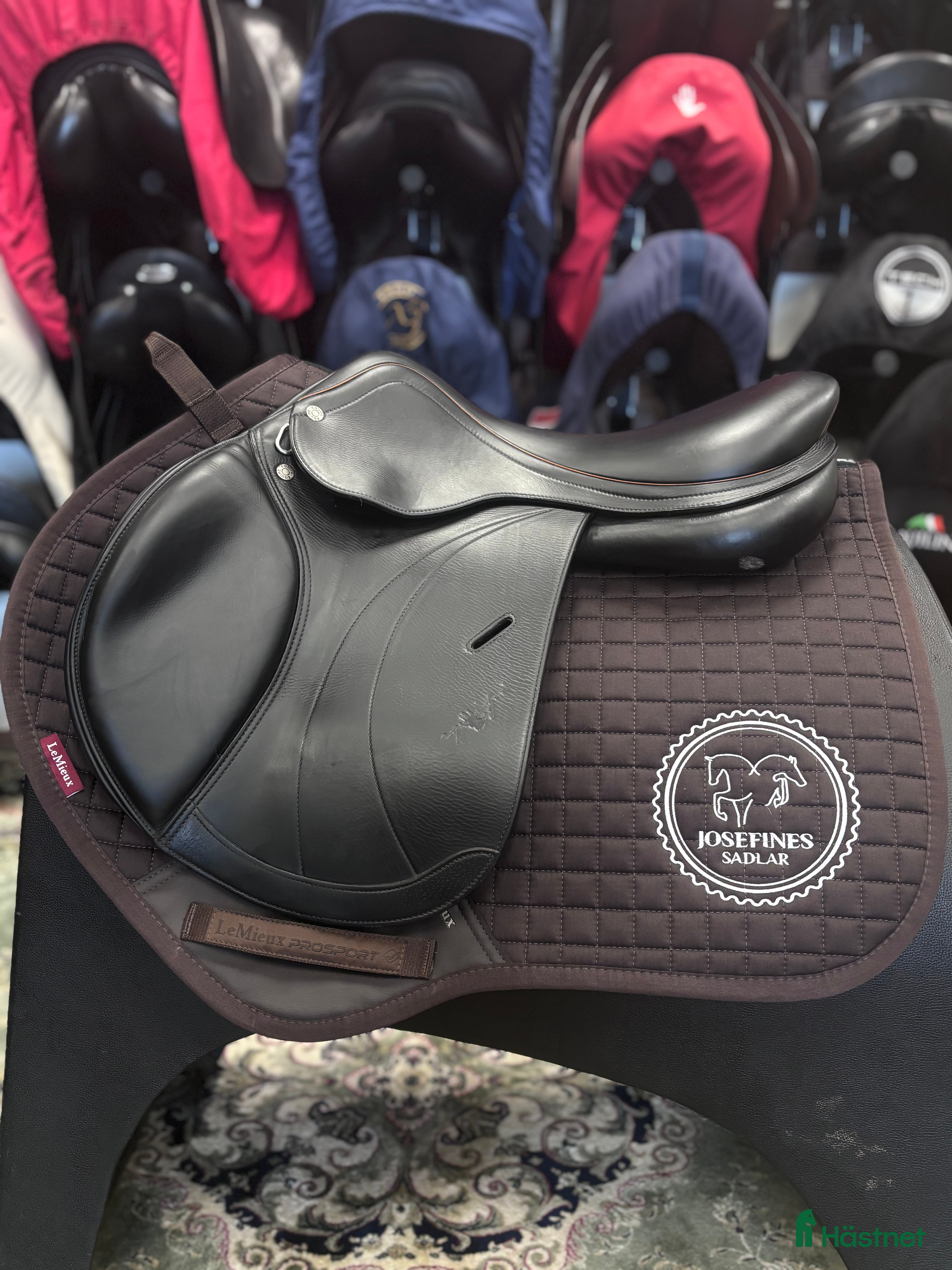 Sadlar hästutrustning Equipe Expression Special i Hova - Annons 14