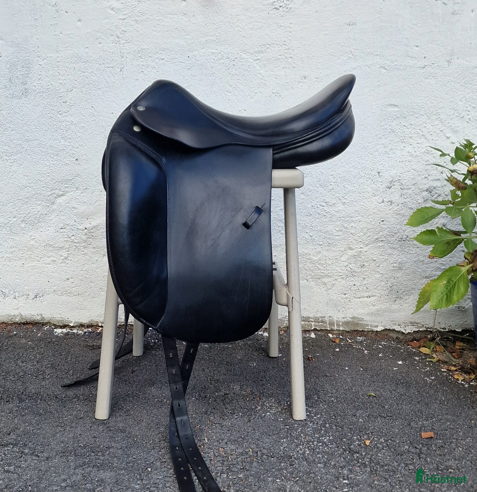 Sadlar hästutrustning till salu: Amerigo CC i Matfors - Annons 22