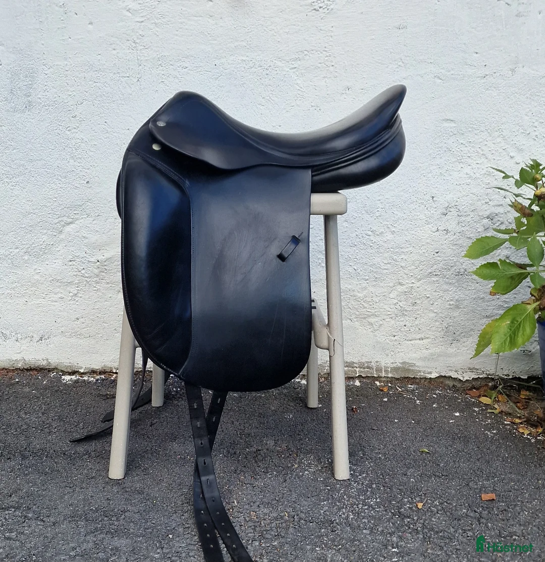 Sadlar hästutrustning till salu: Amerigo CC i Matfors - Annons 1