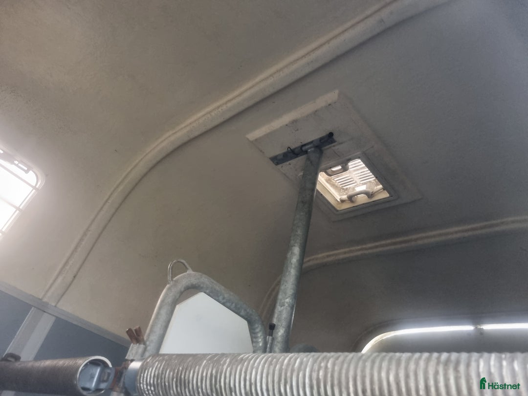 Hästtransporter  fordon & transport till salu: Ringostar nyrenoverad i Romakloster - Annons 7