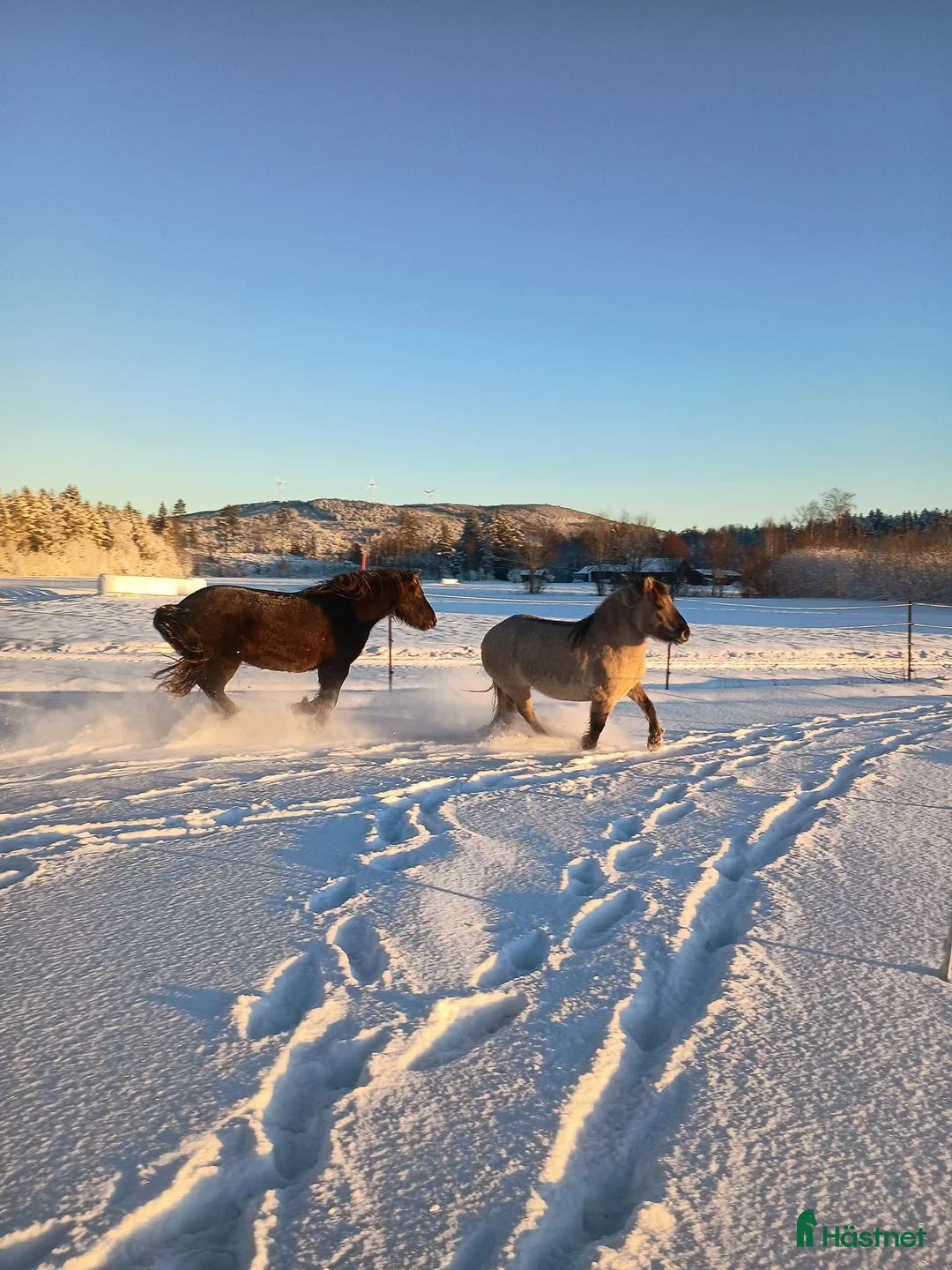 Galleribild {{count}}