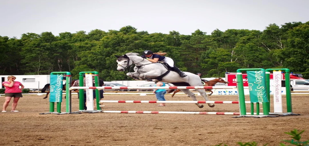 Galleribild {{count}}