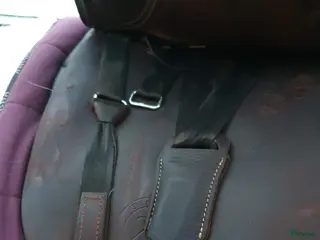 Sadlar hästutrustning Brun Ergo X2 Trude - Annons 11