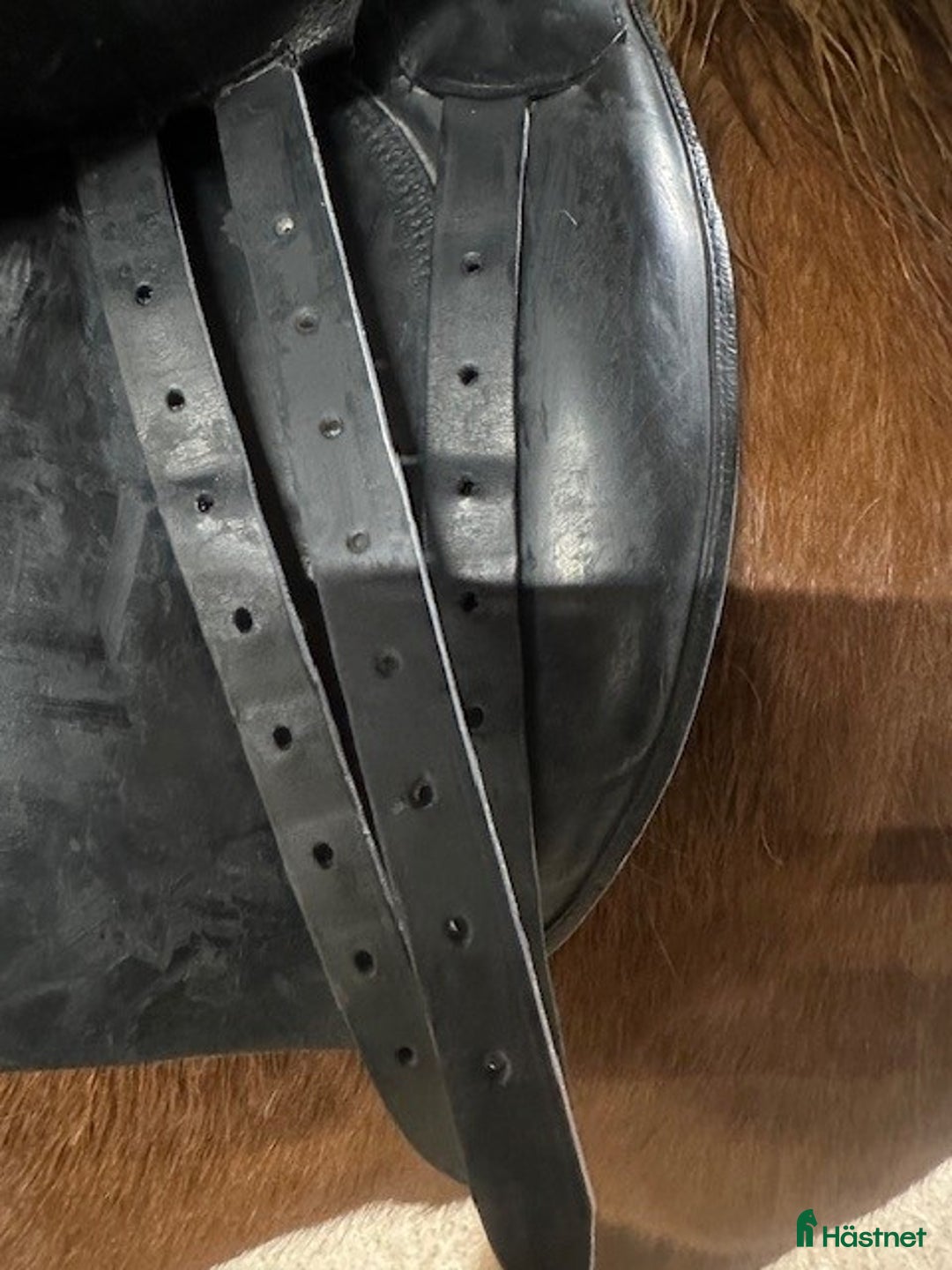 Sadlar hästutrustning till salu: Islands sadlar, unghäst sadlar 17,5 tum o 18 tum i Kattarp - Annons 5