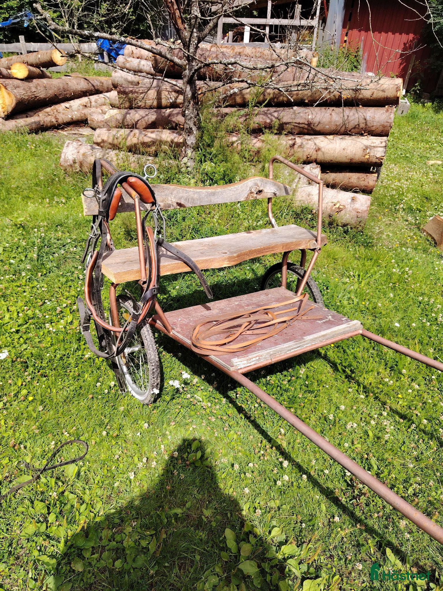 Körvagnar körning till salu: Rockard m, sele och tömmar - Annons 2