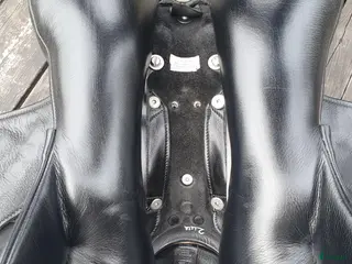 Sadlar hästutrustning WOW dressyrsadel - Annons 11