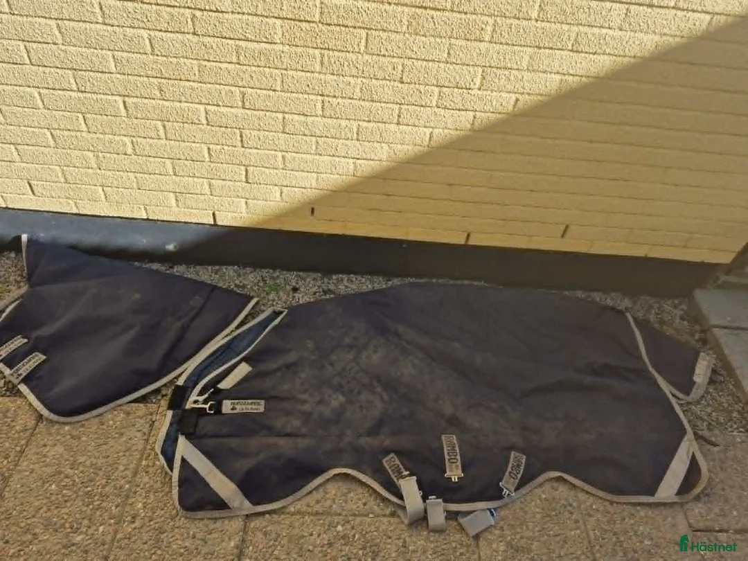 Täcken hästutrustning till salu: Horseware täcke - Annons 3