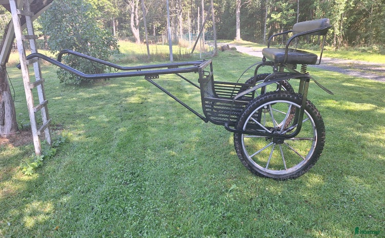 Körvagnar körning till salu i Gränna - Annons 7