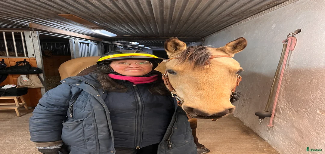 Galleribild {{count}}