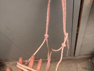 Övrig utrustning övrig utrustning till salu: Grimmor - Annons 1