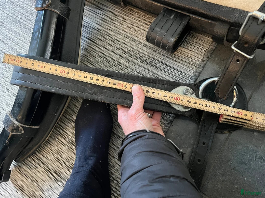 Körselar körning till salu: Loksele a/b-ponny - Annons 8