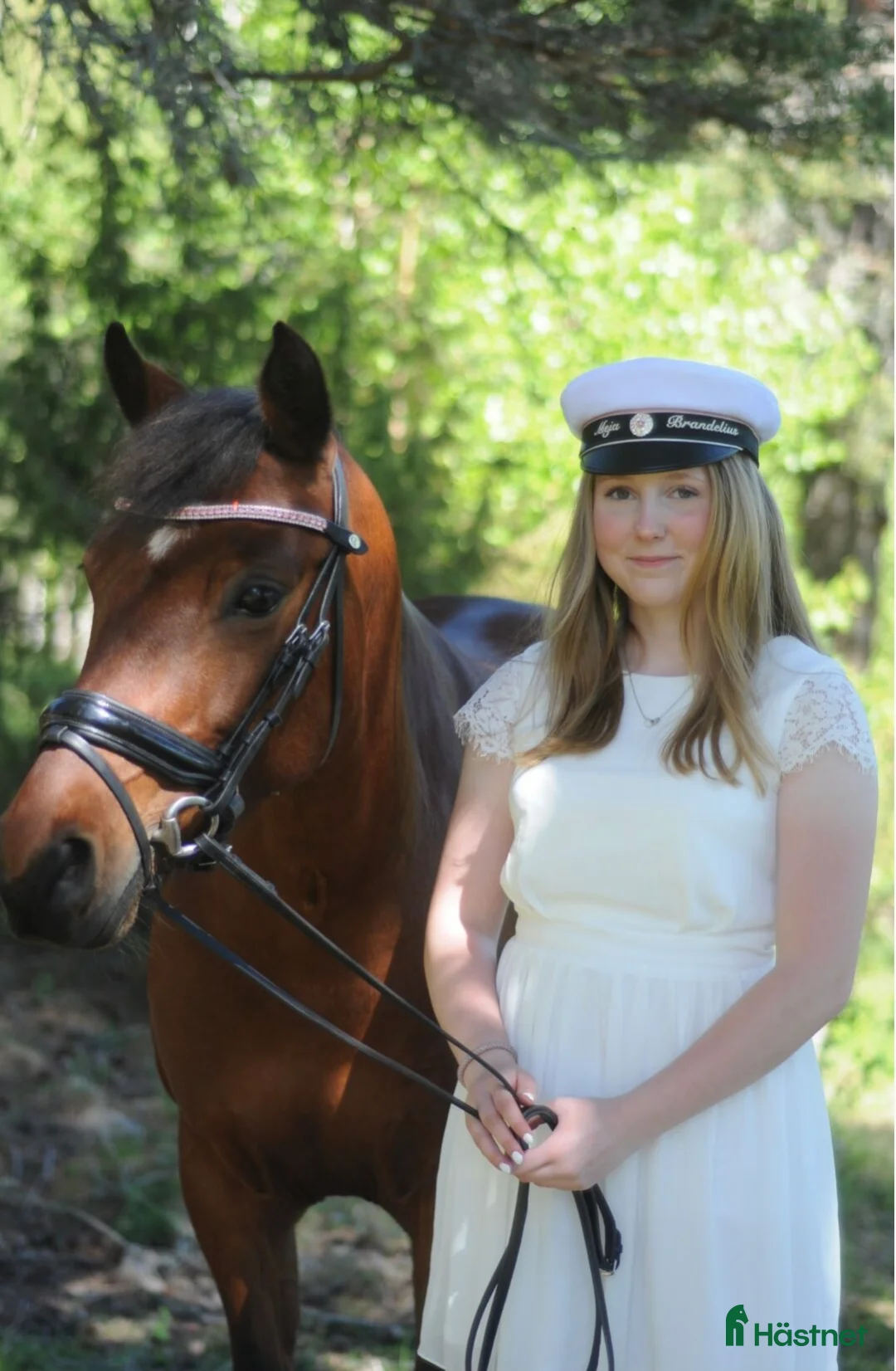 Dressyr hästar till salu: Fin fullstammad Svensk ridponny  - Annons 3