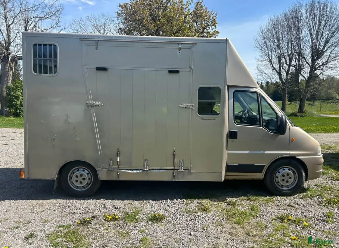 Hästlastbilar  fordon & transport till salu: Häst lastbil B-kort + dragkrok - Annons 3