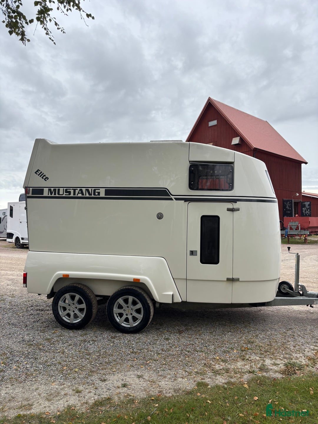Hästtransporter  fordon & transport till salu: Mustang Elit-2019 hästtransport  i Västerås - Annons 4