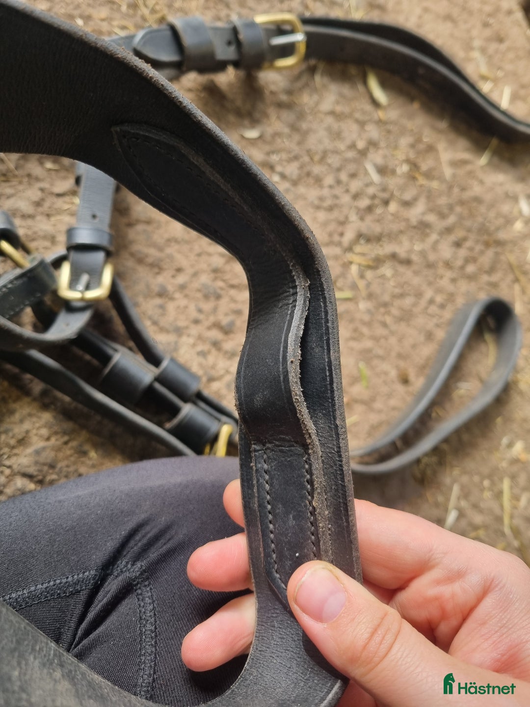 Körselar körning till salu: Bröstsele strl full i Gränna - Annons 3