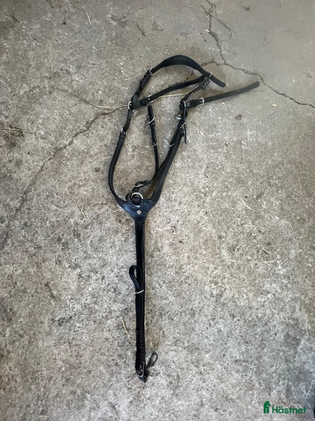 Övrig Hästutrustning hästutrustning till salu: Gott och blandat  i Dalstorp - Annons 9