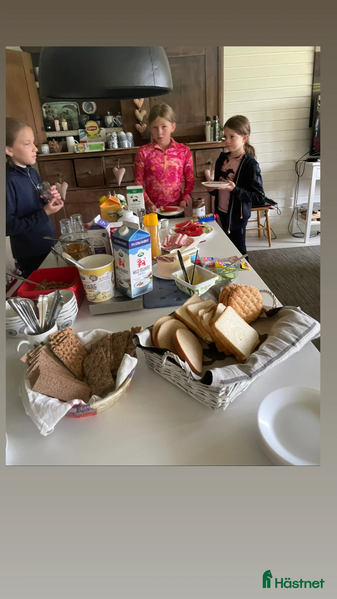  hästservice finnes: Ridläger i vackra Bergslagen! i Riddarhyttan - Annons 8