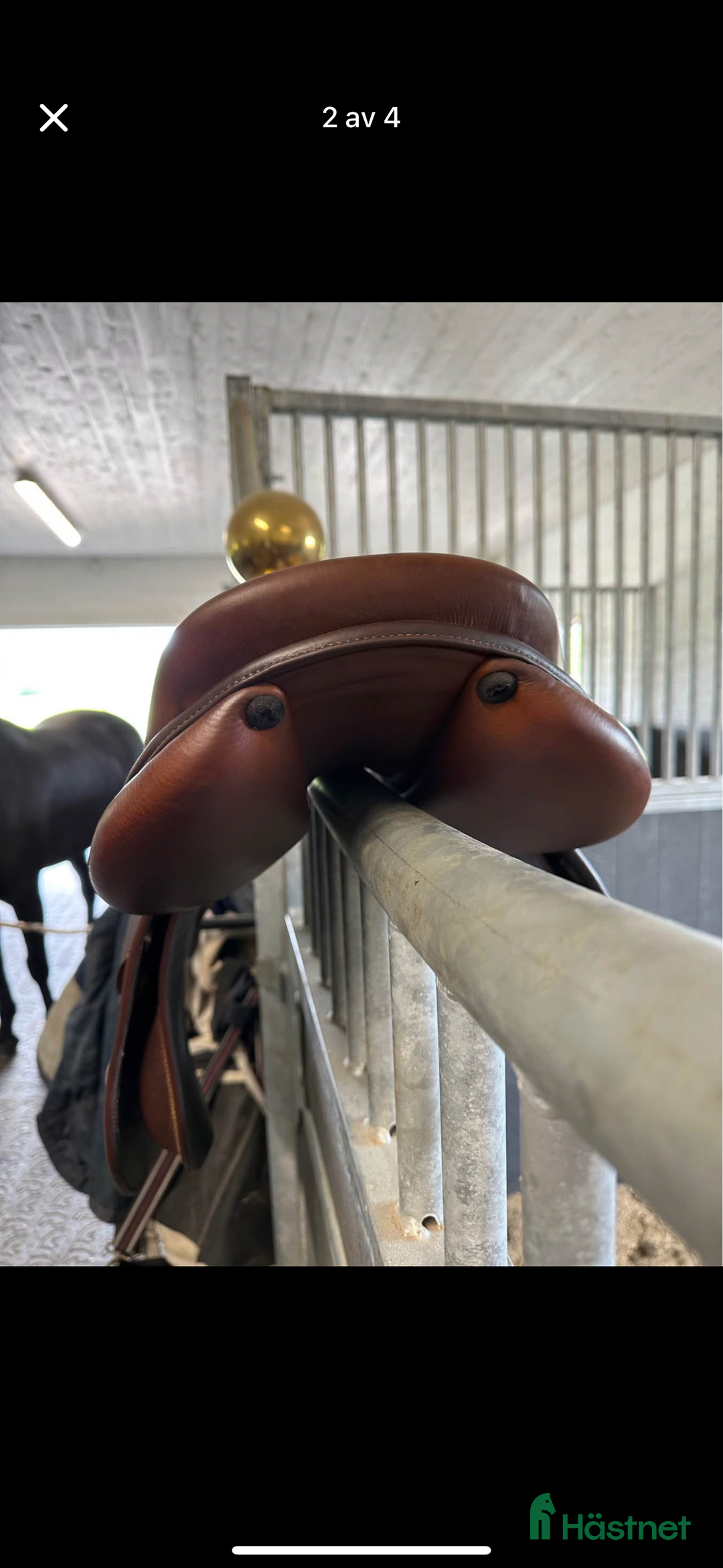 Sadlar hästutrustning till salu: Renissance sadel i Norrtälje - Annons 2