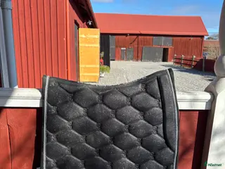 Schabrak & Vojlockar hästutrustning PS of Sweden - Annons 3